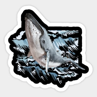 Whale Song Sticker